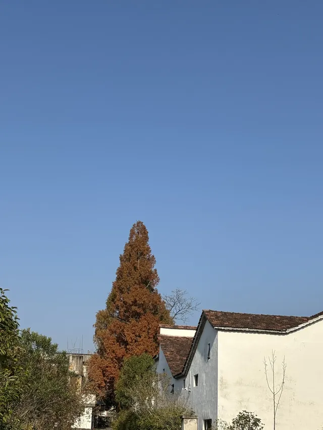 西坡staycation |淡季千島湖的打開方式 西坡staycation |淡季千島湖的打開方式