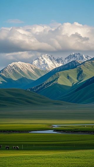 기련산 야생화가 가장 아름다운 계절