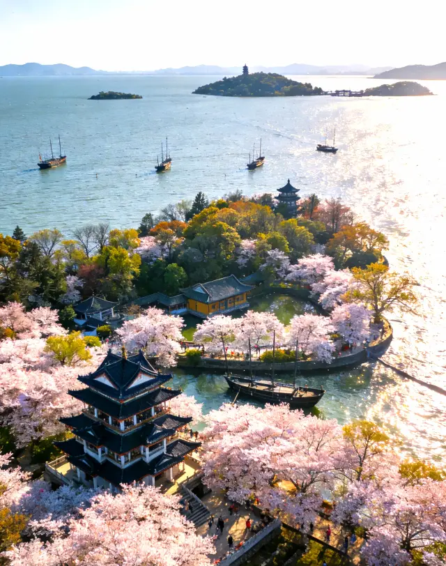 The premier cherry blossom destination, the intoxicating spring mist deep in Taihu Lake: the romantic impact of Yuantouzhu
