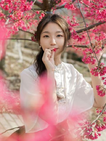 ใครก็ตามที่ยืนอยู่ใต้ต้นซากุระล้วนดูสวยงาม นี่คือจุดถ่ายรูปซากุระที่ไม่ค่อยมีคนรู้จักในไคลี่