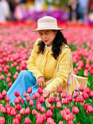 青秀山のチューリップが神がかってる！S字カーブの花海で春の雰囲気満点