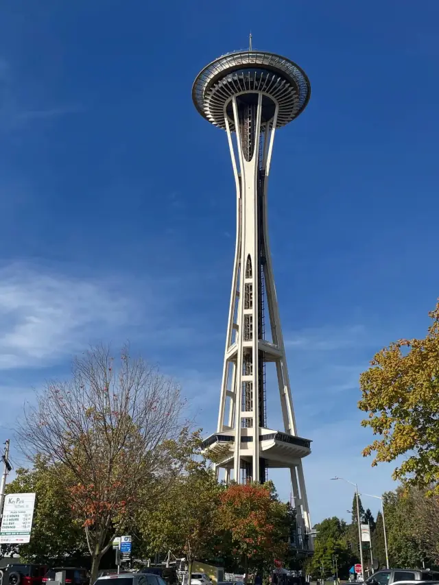 Seattle's Healing Scenery at Dawn | Space Needle is a Must-Visit Spot!