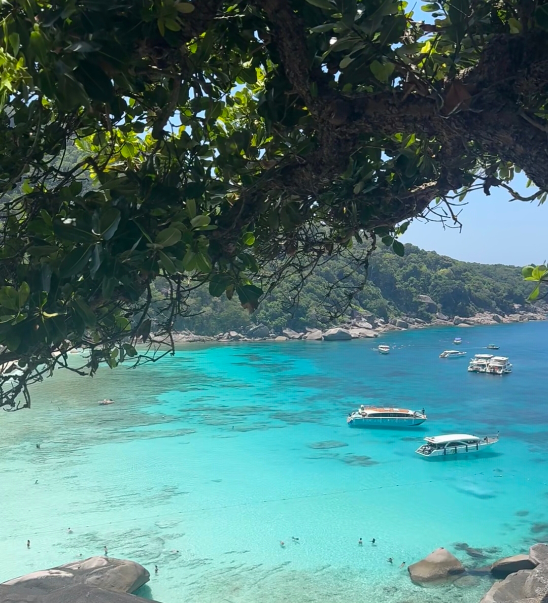 Posting on social media, everyone thought I went to Sanya
But actually, I just went to Shenzhen...
When the weather is good, the crystal-clear glass sea under the sunshine
Is unbelievably beautiful 😭😭
· 
If you want to visit Shenzhen during the holiday,
Be sure to save this detailed two-day, one-night travel guide‼️ Super detailed
· 
✨Recommended Attractions:
☑️Nanao Sapphire Beach
A gathering place for many sea view cafes and restaurants. Besides playing on the beach, you can enjoy the sea view while having afternoon tea. It’s super vacation-style and looks great in any photo~
💳Admission: Free
· 
☑️Akana Glass Sea Resort
A newly opened hidden gem beach with lots of photo spots, perfect for taking amazing pictures
💳Admission: Free
· 
☑️Judiaosha
Fine soft white sand + crystal-clear glass sea. Here you can play in the water, take boat rides, or go out to sea. When the weather is good, it’s truly comparable to Sanya
💳Admission: Free
· 
☑️Yangmeikeng and Luzui Mountain Villa
The famous Mermaid Cave from Stephen Chow’s movie, featuring cliffs, steep rocks, and beaches. Every shot you take is stunning
💳Admission: Free
🛺Tour bus round trip 💰27.6/person, shuttle bus up the mountain round trip 💰10/person
🚤Speedboat 💰30/person, round trip 60
· 
🗺 Two-Day Travel Route:
Day ①: Nanao Sapphire Beach ☛ Seaone Haiyi · Seaview Corridor Restaurant ☛ Akana Glass Sea Resort
Day ②: Judiaosha → Yangmeikeng → Luzui Mountain Villa
· 
🚗 Travel Tips:
Shenzhen gets super congested on weekends and holidays, whether on the streets or at attractions. Parking near attractions is also very limited. So during National Day, it’s recommended to use Didi rideshare for easier travel, directly to the attraction entrances. This not only saves time looking for parking but also saves a lot on parking fees~~