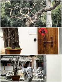 春日限定｜競秀公園賞花+宙斯璟公館電競房體驗