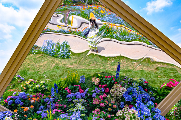 Don't wait for the flower festival to open! The flowers at the Don't wait for the flower festival to open! The flowers at the