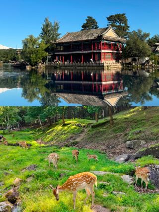 Avoid the summer crowds! 8 lesser-known cool destinations recommended