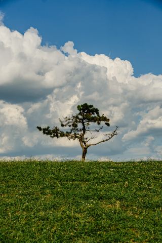 Moon Lake Park | A landscape that feels like stepping into an anime world