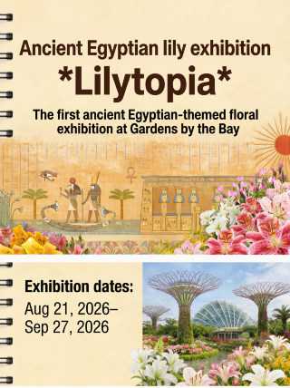 Diskon 65% untuk waktu terbatas! Nikmati Pameran Bunga Lili Mesir Kuno di Gardens by the Bay hanya selama 38 hari.