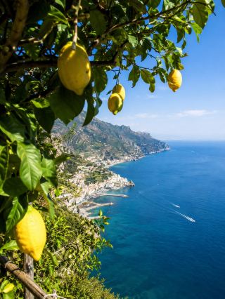 Half lemon, half ocean, as featured by National Geographic