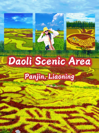 I can't believe there are still people who don't know about this hidden gem, Daoli