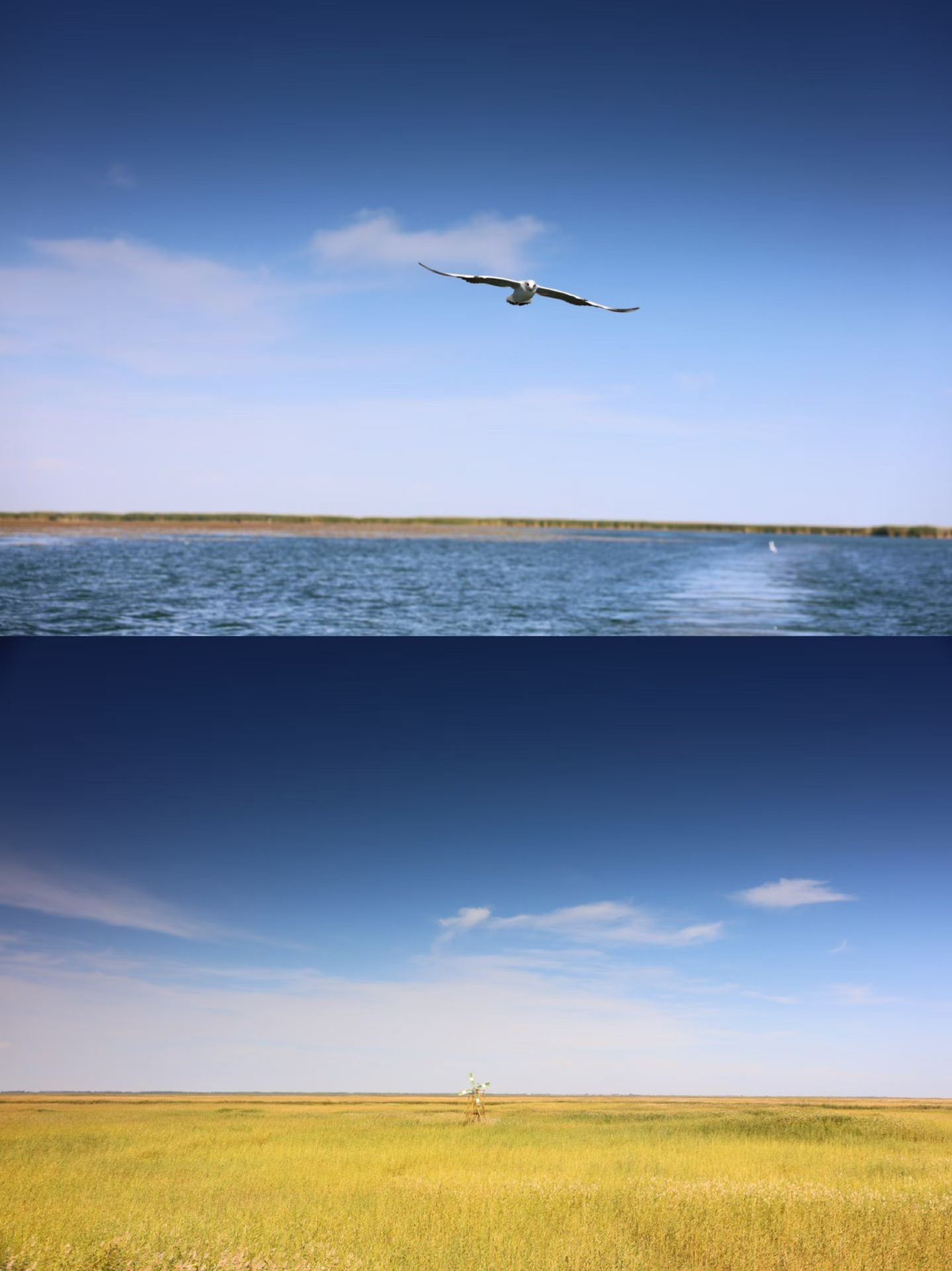 Bosten Lake photo spot guide