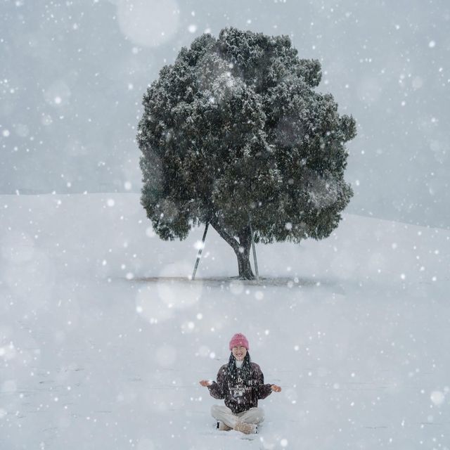 서울에 눈이 오면 가야하는 눈 스팟❄️