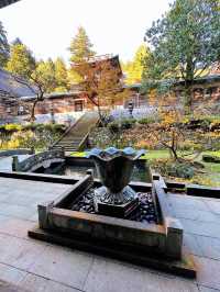 【禅の道場】大本山 永平寺