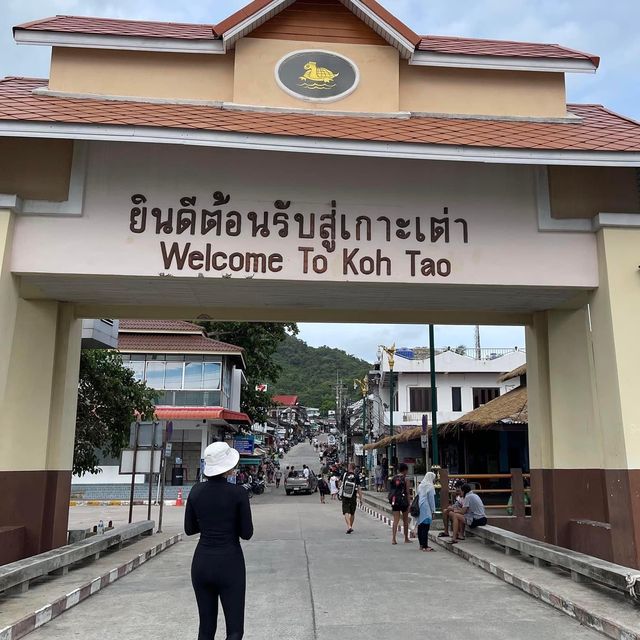 ดำน้ำเกาะเต่า 🤿  #scuba  ดำน้ำเกาะเต่า 🤿  #scuba