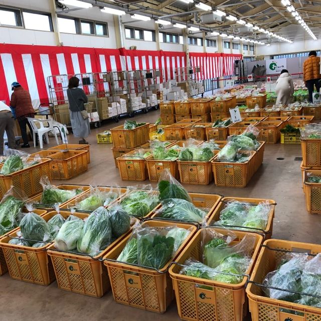 鳥取賀露市場一次滿足幾個願望