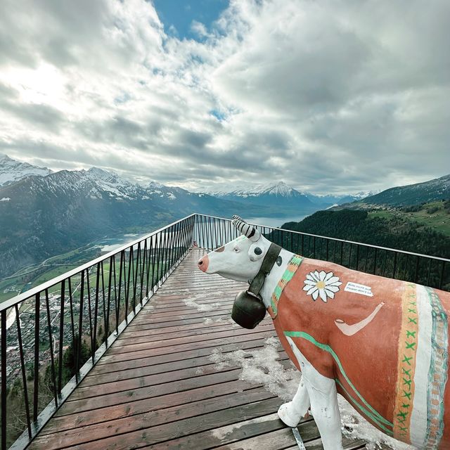 Most Scenic spot in Interlaken 