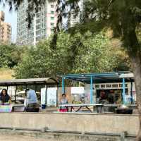 Educational/Storey Telling at Cafeteria Beach