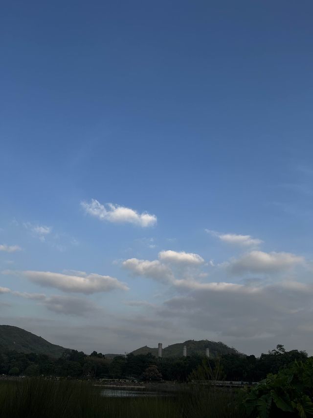 你唔係未黎過呢到野餐吧🍔🌭🍣🍘🍤🍰🍪？