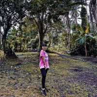Mayon Black Lava Zipline Adventure