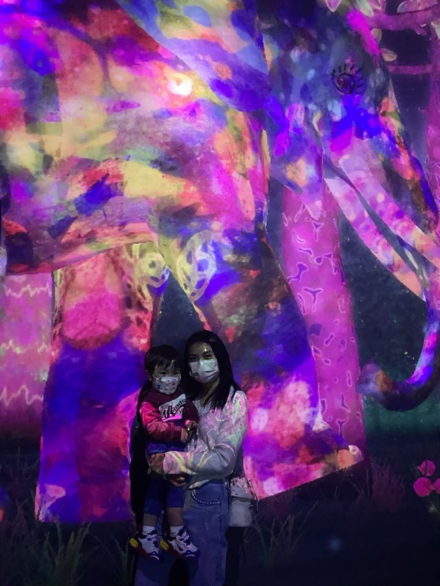 澳門其中一個最火紅的景點😍 #teamLab 無買錯飛～^_^入面好靚又好玩！