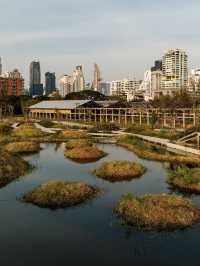Benchakitti Park in Bangkok