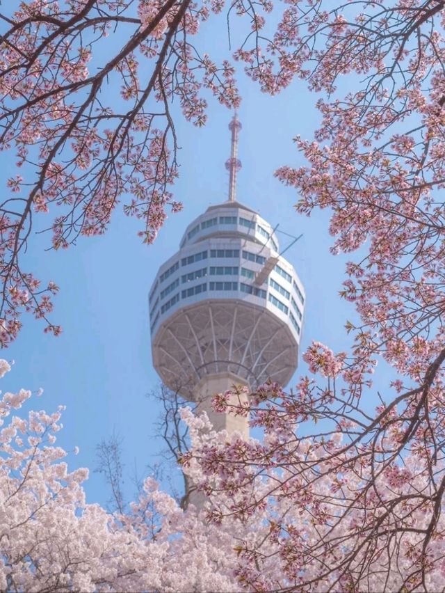 동화속에 온 듯 가슴이 설레는 이곳"이월드"