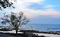 Sea Stone Resort