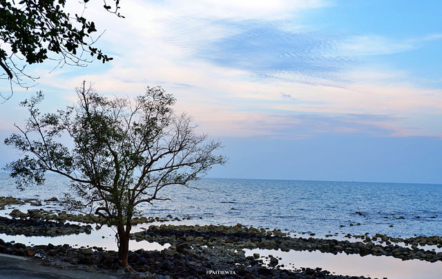 Sea Stone Resort
