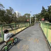 親子單車！市區都有得踏子母單車！