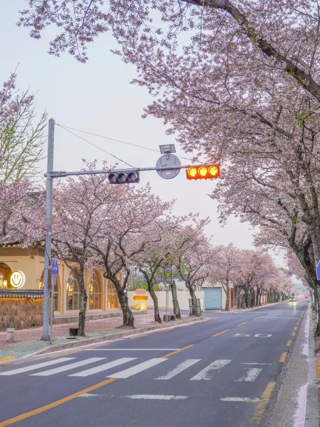 도란도란 이야기 나누며 걷기 좋은 오릉 돌담길