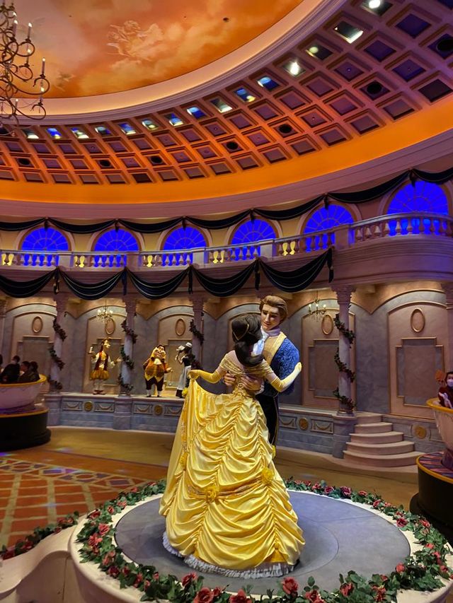 Tokyo Disneyland!