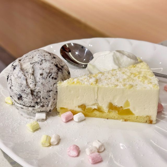 新開🎊超大😻貓cafe🐈