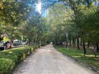 Entering Seoul forest