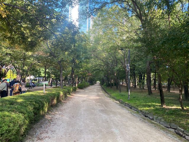 Entering Seoul forest