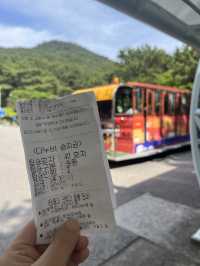 부산 산책하기 좋은 곳