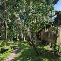 Bali Bird Park