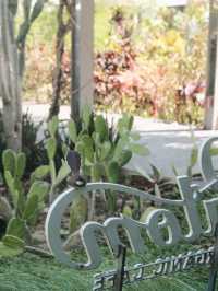 Patom Organic Cafe' at Suan Sampran 🌳🌤️