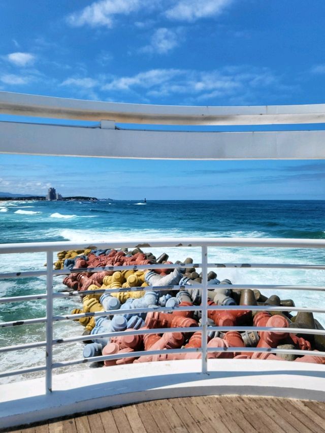 해중공원전망대에서 바라보는 강릉오션뷰는 최고🌊