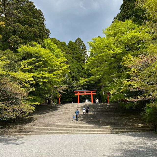 鹿児島「霧島神宮」神話と霊験あらたかな由緒ある国宝に指定された神社