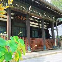 【京都】招き猫伝説のお寺