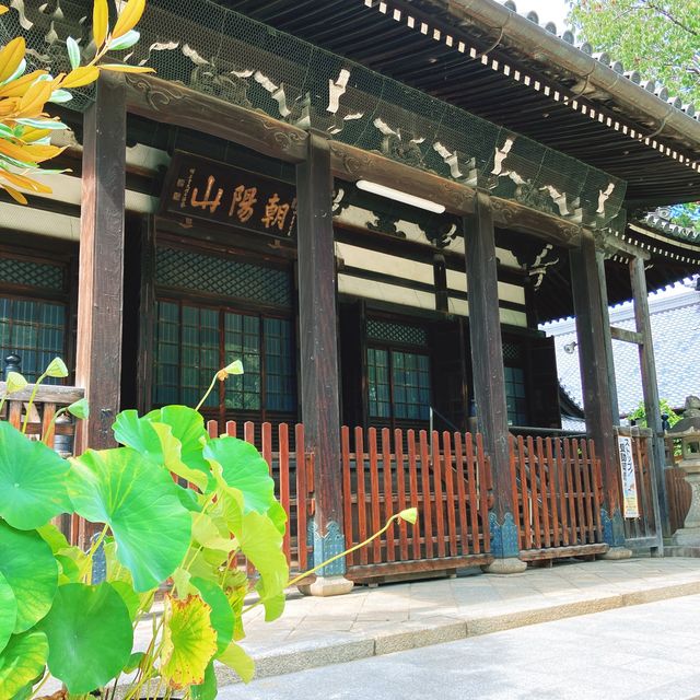 【京都】招き猫伝説のお寺