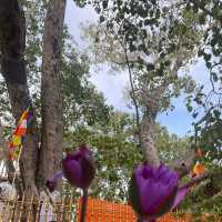 Sri maha bodhi