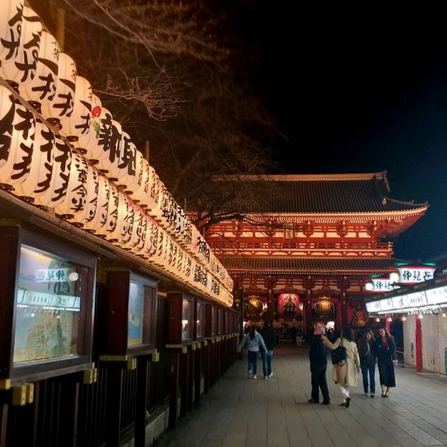 Late-Night Delights in Asakusa