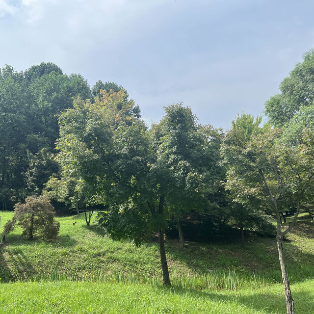 Forest Park