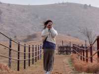 모두가 산책하기에 좋은, 용눈이오름