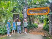 น้ำตกคลองพลู | เกาะช้าง