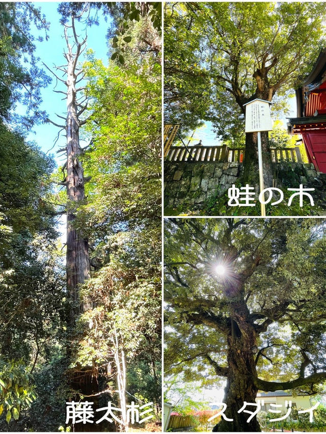 【群馬県/貫前神社】日本三大下り宮の神社