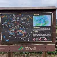 가을의 시작 억새보러가자