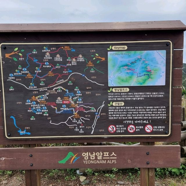 가을의 시작 억새보러가자