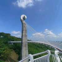 岡山之眼登高遠眺水庫美景